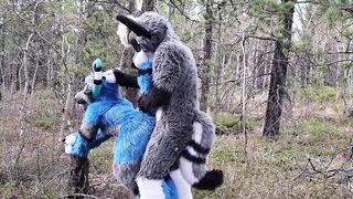 Horny furries fuck in the wild - 7 image