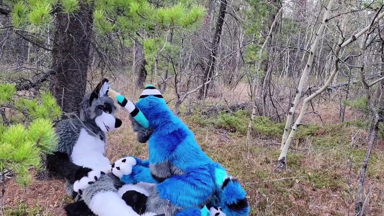 Horny furries fuck in the wild watch online