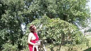 Topless Brunette Picking Cherries from the Tree - 4 image