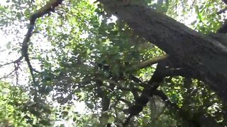 Notgeiles Teen Outdoor alleine auf dem Baum - 11 image
