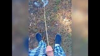 Pee Compilation Outdoors 1 Video Loop 10 Minutes - 1 image