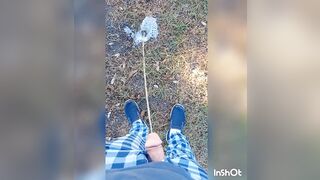Pee Compilation Outdoors 1 Video Loop 10 Minutes - 15 image